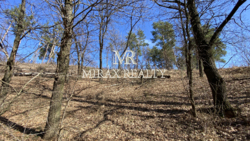 Продаж земельної ділянки під забудову 70 сот Лісники фото 8 Продаж земельної ділянки під забудову 70 сот Лісники фото 8