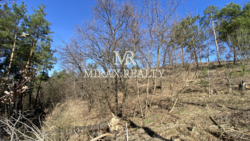 Продаж земельної ділянки під забудову 70 сот Лісники фото 4 Продаж земельної ділянки під забудову 70 сот Лісники фото 4