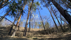 Продаж земельної ділянки під забудову 70 сот Лісники фото 9 Продаж земельної ділянки під забудову 70 сот Лісники фото 9