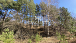 Продаж земельної ділянки під забудову 70 сот Лісники фото 1 Продаж земельної ділянки під забудову 70 сот Лісники фото 1