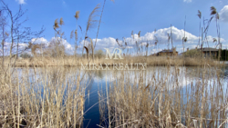 Продаж земельної ділянки 3.2 га Конча-Заспа Плюти річка Козинка фото 6 Продаж земельної ділянки 3.2 га Конча-Заспа Плюти річка Козинка фото 6