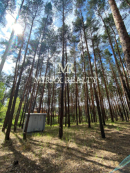 Продажа участка 90 соток с сосновым лесом выход на р.Стугна Украинка фото 5 Продажа участка 90 соток с сосновым лесом выход на р.Стугна Украинка фото 5