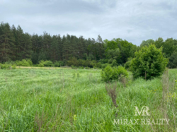 Продажа земельного участка 75 сот лес Тарасовка Конча-Заспа фото 11 Продажа земельного участка 75 сот лес Тарасовка Конча-Заспа фото 11