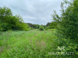 Продажа земельного участка 75 сот лес Тарасовка Конча-Заспа фото 7 Продажа земельного участка 75 сот лес Тарасовка Конча-Заспа фото 7