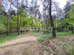   4,8       - 8 000 $  6