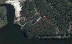 Продажа участка 90 соток с сосновым лесом выход на р.Стугна Украинка фото 1 Продажа участка 90 соток с сосновым лесом выход на р.Стугна Украинка фото 1