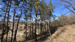 Продаж земельної ділянки під забудову 70 сот Лісники фото 6 Продаж земельної ділянки під забудову 70 сот Лісники фото 6