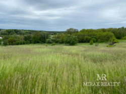 Продажа земельного участка 2,7 га Старые Безрадичи фото 4 Продажа земельного участка 2,7 га Старые Безрадичи фото 4