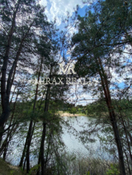 Продажа участка 90 соток с сосновым лесом выход на р.Стугна Украинка фото 9 Продажа участка 90 соток с сосновым лесом выход на р.Стугна Украинка фото 9