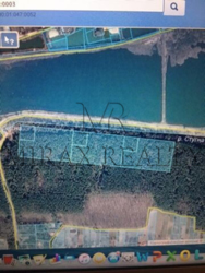 Продажа участка 2 га Лес Солтановка Стугна Одесское направление фото 4 Продажа участка 2 га Лес Солтановка Стугна Одесское направление фото 4