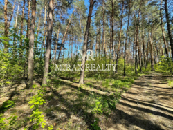 Продажа земельного участка 23 сот Тарасовка Новообуховская трасса фото 6 Продажа земельного участка 23 сот Тарасовка Новообуховская трасса фото 6