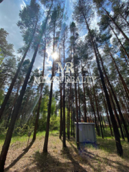 Продажа участка 90 соток с сосновым лесом выход на р.Стугна Украинка фото 6 Продажа участка 90 соток с сосновым лесом выход на р.Стугна Украинка фото 6