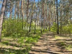 Продажа земельного участка 23 сот Тарасовка Новообуховская трасса фото 8 Продажа земельного участка 23 сот Тарасовка Новообуховская трасса фото 8