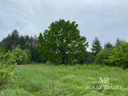 Продажа земельного участка 75 сот лес Тарасовка Конча-Заспа фото 10 Продажа земельного участка 75 сот лес Тарасовка Конча-Заспа фото 10