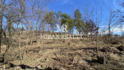 Продаж земельної ділянки під забудову 70 сот Лісники фото 5 Продаж земельної ділянки під забудову 70 сот Лісники фото 5