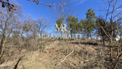 Продаж земельної ділянки під забудову 70 сот Лісники фото 3 Продаж земельної ділянки під забудову 70 сот Лісники фото 3