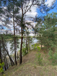 Продажа участка 90 соток с сосновым лесом выход на р.Стугна Украинка фото 10 Продажа участка 90 соток с сосновым лесом выход на р.Стугна Украинка фото 10