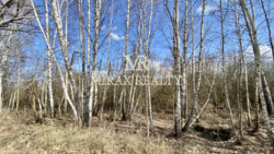 Продаж земельної ділянки 3.2 га Конча-Заспа Плюти річка Козинка фото 8 Продаж земельної ділянки 3.2 га Конча-Заспа Плюти річка Козинка фото 8