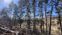 Продаж земельної ділянки під забудову 70 сот Лісники фото 7 Продаж земельної ділянки під забудову 70 сот Лісники фото 7