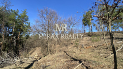 Продаж земельної ділянки під забудову 70 сот Лісники фото 2 Продаж земельної ділянки під забудову 70 сот Лісники фото 2