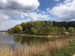 Продажа участка 2 га Лес Солтановка Стугна Одесское направление фото 1 Продажа участка 2 га Лес Солтановка Стугна Одесское направление фото 1