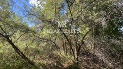 Продаж земельної ділянки 85 соток з виходом на Стугну Українка Обухів фото 6 Продаж земельної ділянки 85 соток з виходом на Стугну Українка Обухів фото 6