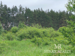 Продажа земельного участка 75 сот лес Тарасовка Конча-Заспа фото 9 Продажа земельного участка 75 сот лес Тарасовка Конча-Заспа фото 9