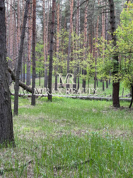   4,8       - 8 000 $  4