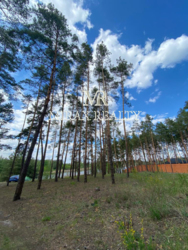 Продажа участка 90 соток с сосновым лесом выход на р.Стугна Украинка фото 7 Продажа участка 90 соток с сосновым лесом выход на р.Стугна Украинка фото 7