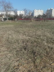 ĳ, 10 , , ,    2