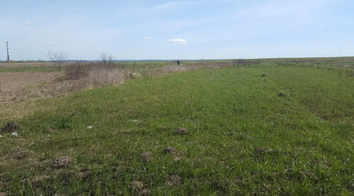 Ĳ����� � ����˲ ���� 1