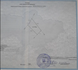 ��� Ĳ����� � ̲�Ҳ ������ ���� 1