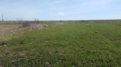 Ĳ����� � ����˲ ���� 1