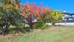 ��������� ������ ���� 3