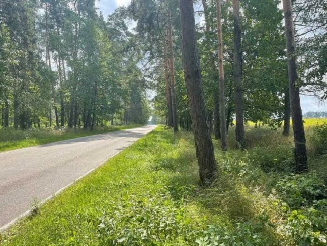 Продажа земельного участка 5,25Га с.Мрия фото 1 Продажа земельного участка 5,25Га с.Мрия фото 1