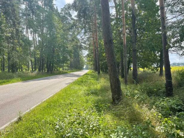 Продажа земельного участка 3,25 Га с.Мрия фото 1 Продажа земельного участка 3,25 Га с.Мрия фото 1