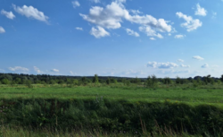 Продается участок Старые Безрадычи, Обуховский, Киевская фото 1 Продается участок Старые Безрадычи, Обуховский, Киевская фото 1