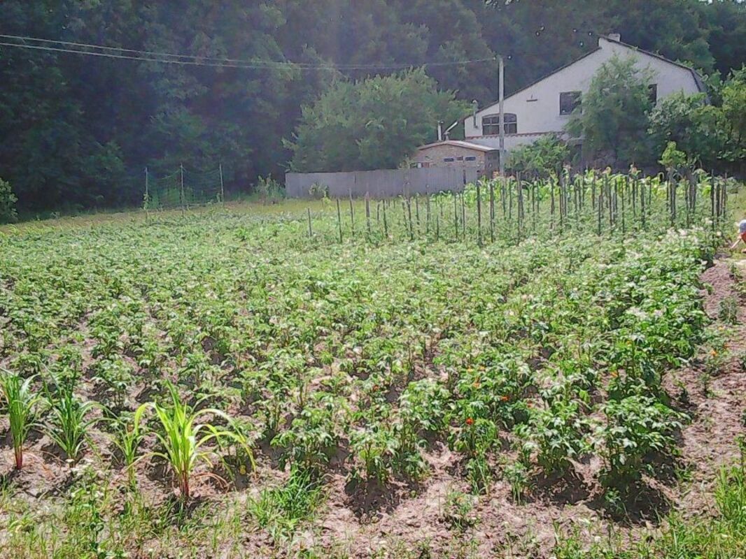 Продается участок Сумская, Сумский, Липняк фото 1 Продается участок Сумская, Сумский, Липняк фото 1