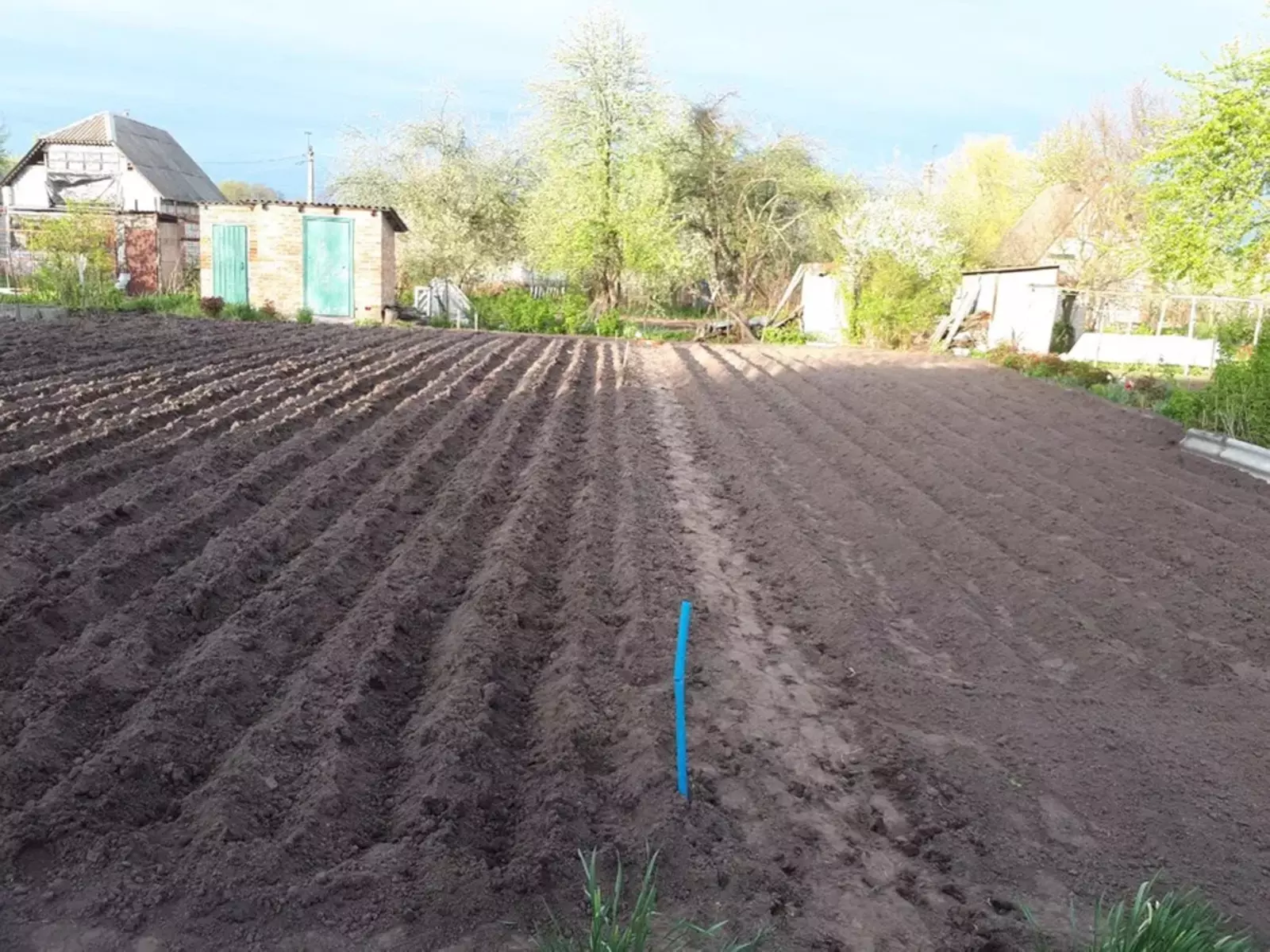 Продается участок Сумская, Сумы, Барановка фото 1 Продается участок Сумская, Сумы, Барановка фото 1