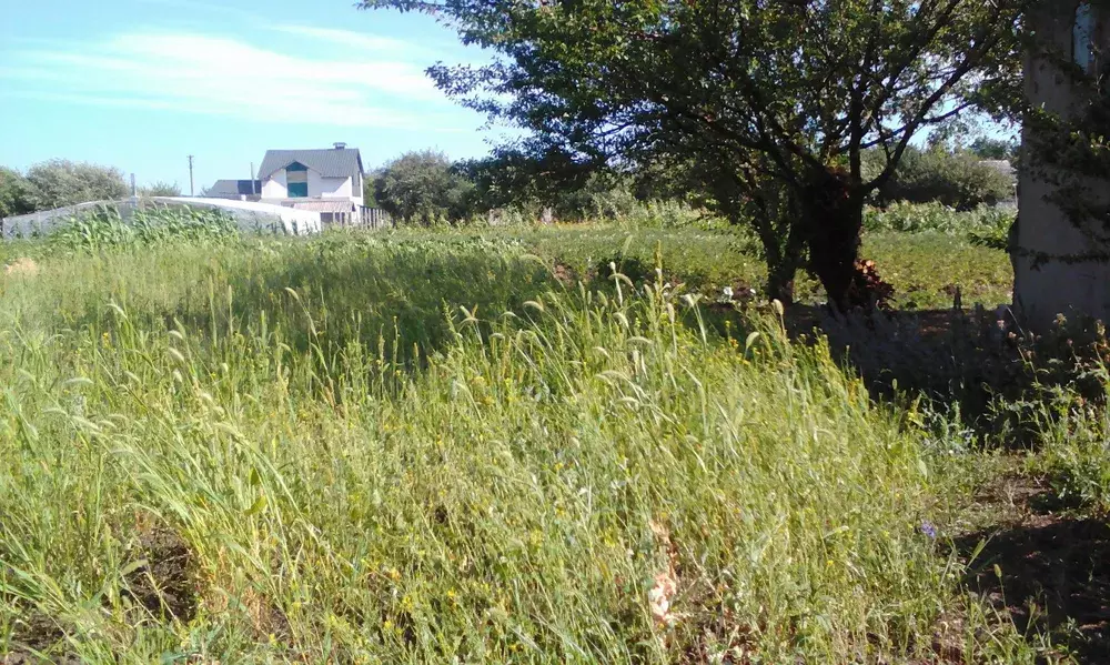 Продается участок Сумская, Сумы, Ковпаковский, Веретинівка фото 1 Продается участок Сумская, Сумы, Ковпаковский, Веретинівка фото 1