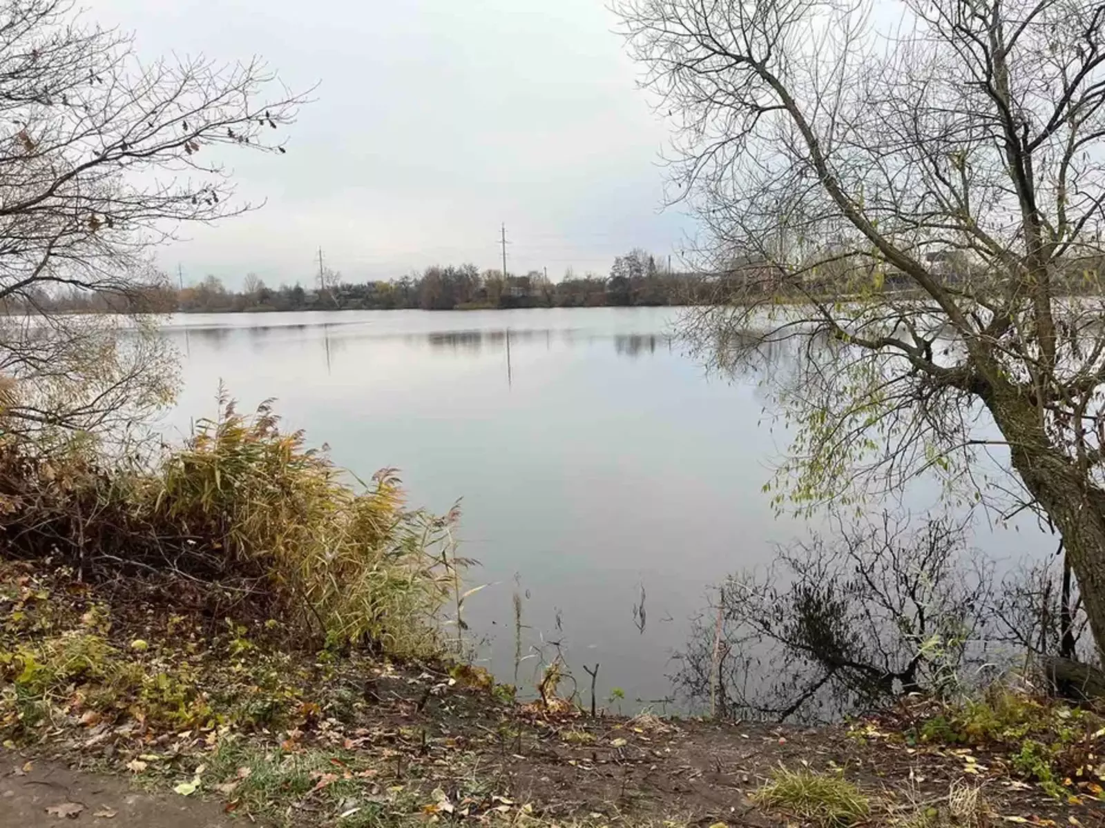 Продается участок Сумская, Сумы, Заречный, Блакитні озера/ с/т Залізничник-2 фото 1 Продается участок Сумская, Сумы, Заречный, Блакитні озера/ с/т Залізничник-2 фото 1