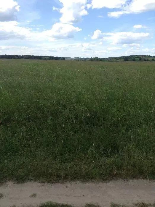 Ділянка під дачу фото 1 Ділянка під дачу фото 1