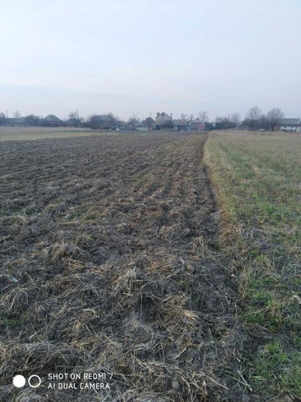 Продается участок Сумская, Сумский, Большая Чернетчина фото 1 Продается участок Сумская, Сумский, Большая Чернетчина фото 1