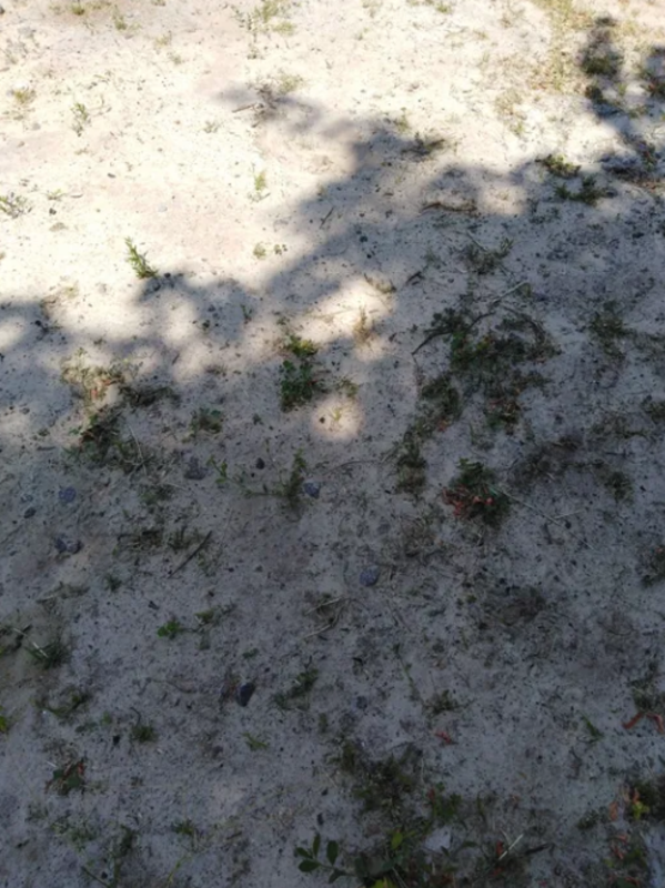 Продается участок Сумская, Сумы, Заречный фото 1 Продается участок Сумская, Сумы, Заречный фото 1