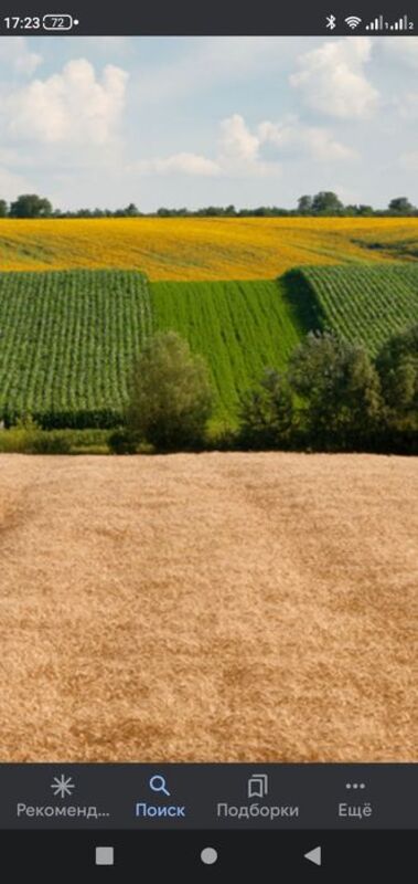 Продается участок Сумская, Белополье, Ульяновка фото 1 Продается участок Сумская, Белополье, Ульяновка фото 1