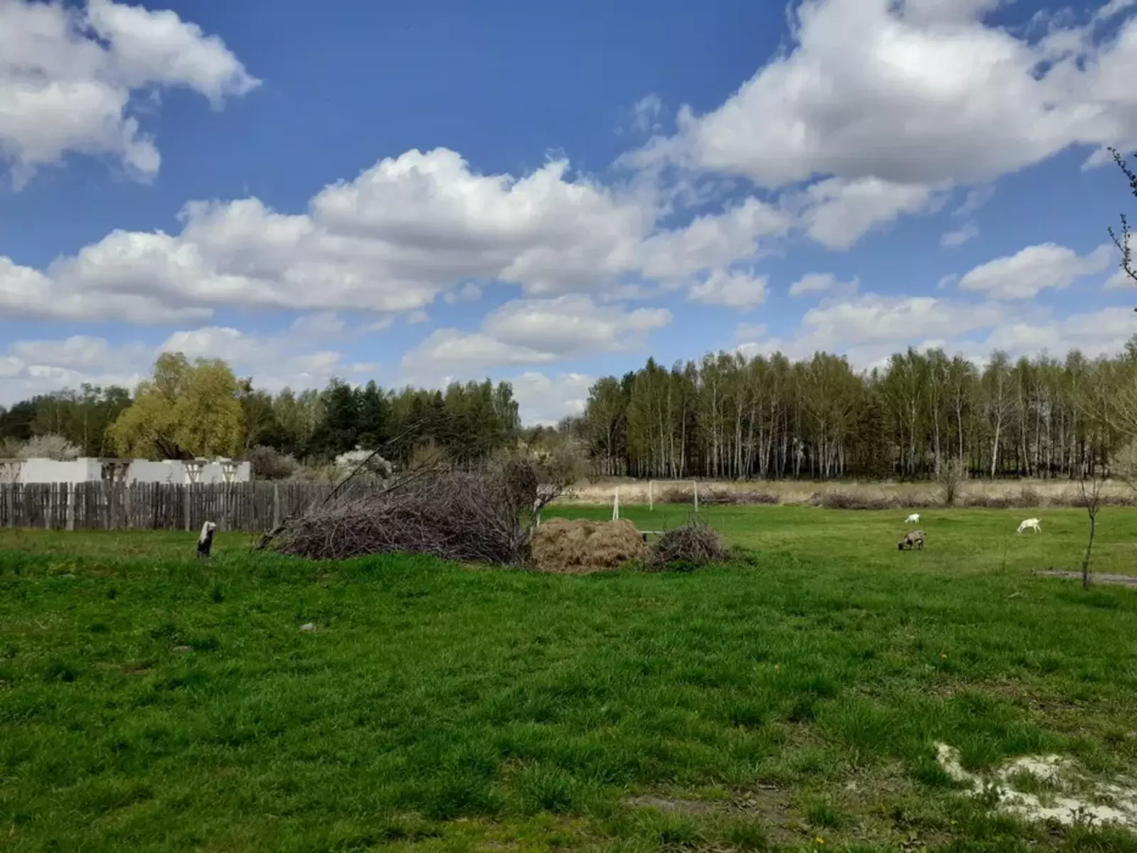 Продается участок Сумская, Сумы, Заречный, пров. 2-й Восточний Баси, 36 фото 1 Продается участок Сумская, Сумы, Заречный, пров. 2-й Восточний Баси, 36 фото 1