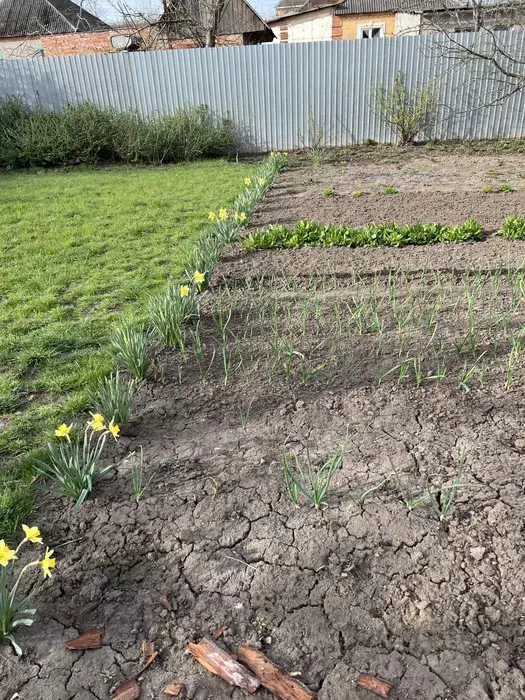 Продается участок Сумская, Сумы, Ковпаковский, Веретинівка, кінцева фото 1 Продается участок Сумская, Сумы, Ковпаковский, Веретинівка, кінцева фото 1