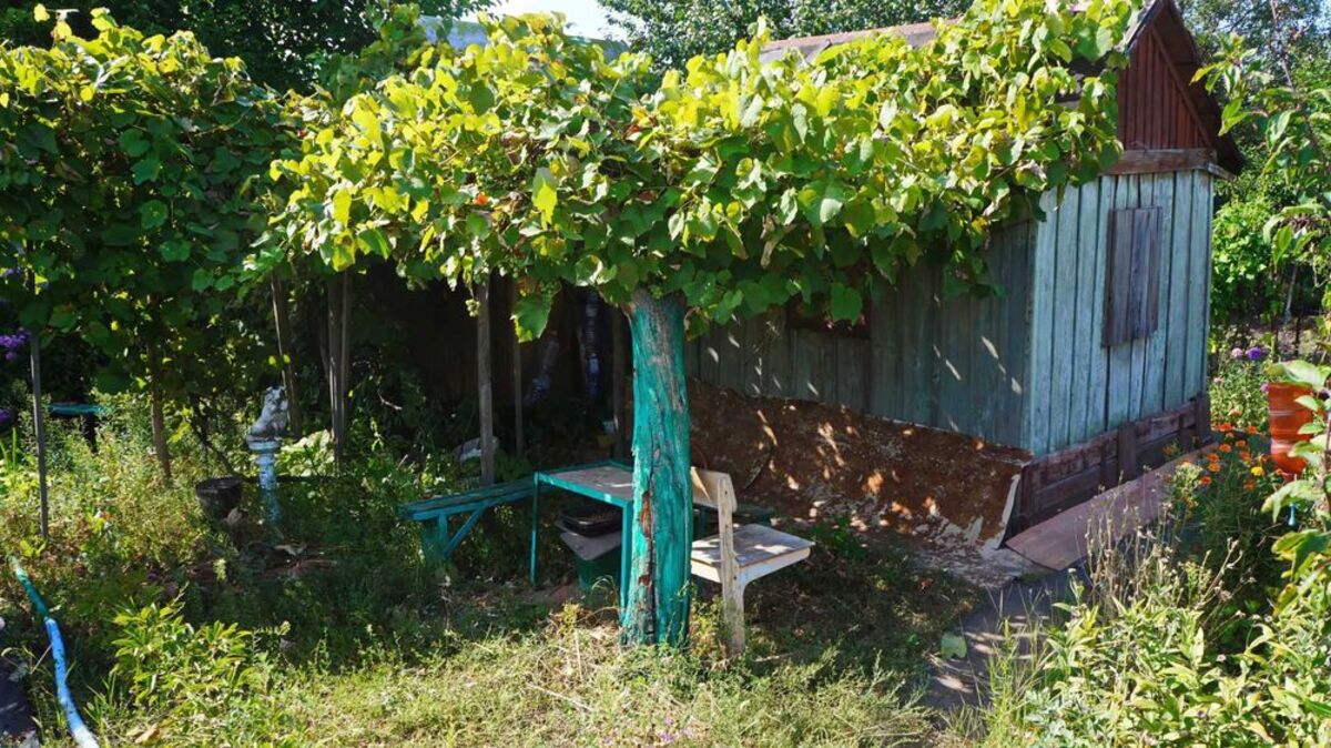 Продается участок Сумская, Сумы, Химгородок фото 1 Продается участок Сумская, Сумы, Химгородок фото 1