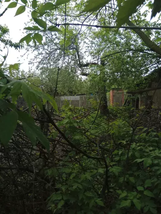 Продается участок Сумская, Сумы, Василівка Ст. фото 1 Продается участок Сумская, Сумы, Василівка Ст. фото 1