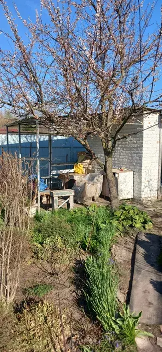 Продается участок Сумская, Сумский фото 1 Продается участок Сумская, Сумский фото 1